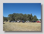 Dawson crowd gathers